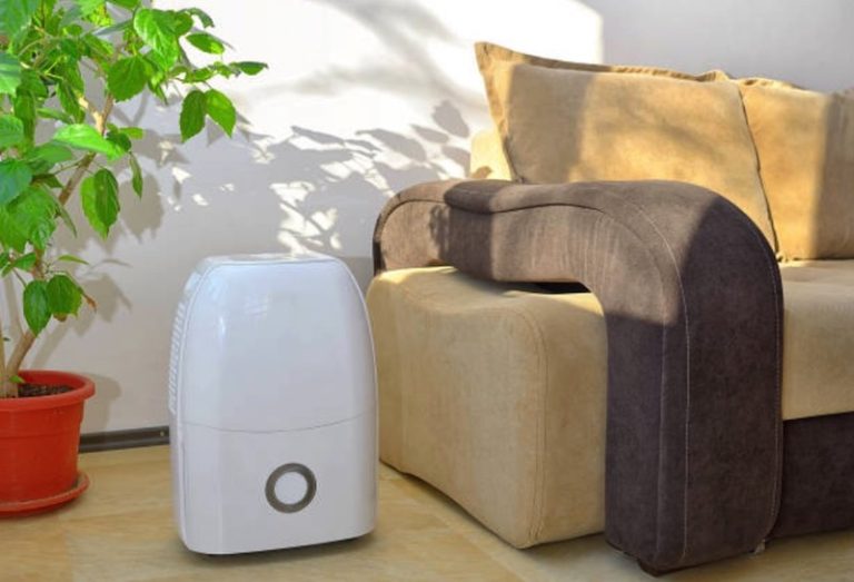 How Big Of A Dehumidifier Do I Need •