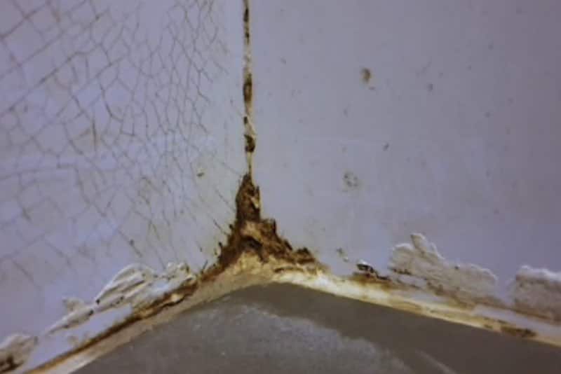 How To Remove Mold From Silicone Caulk, How To Remove Old Silicone Caulk From Bathtub