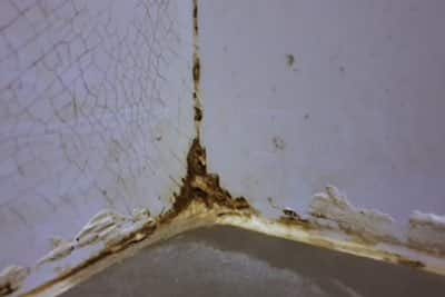 How To Remove Mold From Silicone Caulk Detailed Guide Humiditycheck Com - How To Remove Mold From Caulking In Bathroom
