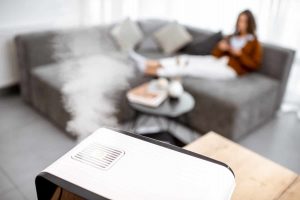 Best Humidifiers For 1000 Square Feet