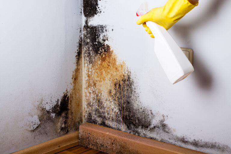 Get Rid of Wall Mold With These 7 Homemade Remedies •